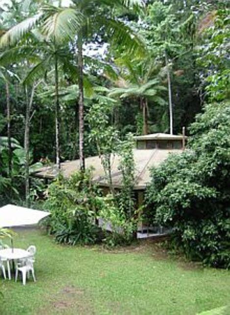 קייפ טריבוליישן Daintree Deep Forest Lodge מראה חיצוני תמונה