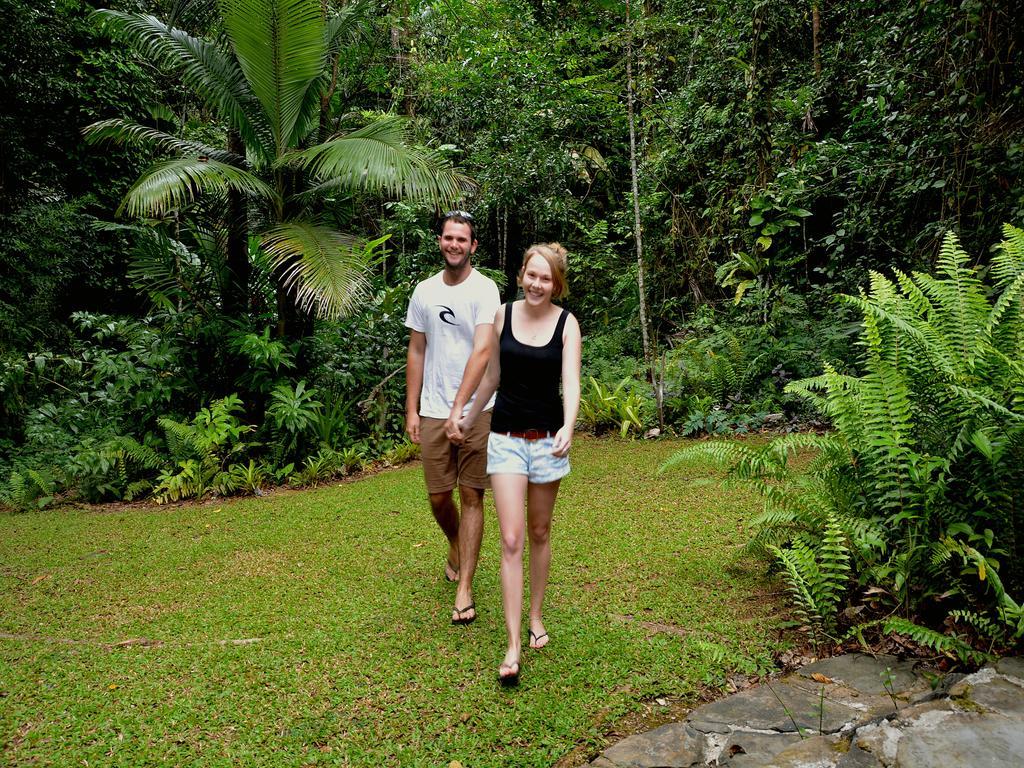 קייפ טריבוליישן Daintree Deep Forest Lodge מראה חיצוני תמונה
