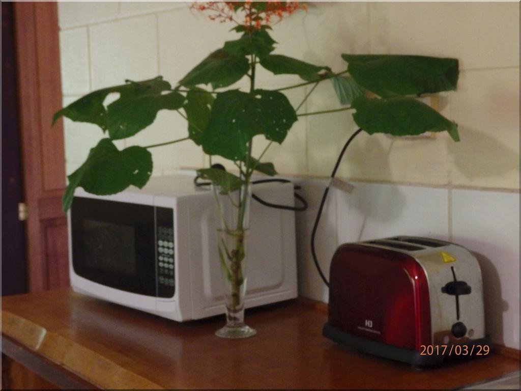 קייפ טריבוליישן Daintree Deep Forest Lodge מראה חיצוני תמונה